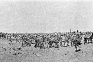 omdurman sudan artillery 1898 britishbattles sudanese 2nd